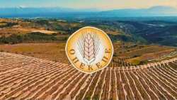 &Tau;&sigma;&iota;ά&rho;&alpha;&sigmaf;: &Eta; &epsilon;&xi;&upsilon;&gamma;ί&alpha;&nu;&sigma;&eta; &tau;&omicron;&upsilon; &Omicron;&Pi;&Epsilon;&Kappa;&Epsilon;&Pi;&Epsilon; &kappa;&alpha;&iota; &eta; &mu;&epsilon;&tau;ά&beta;&alpha;&sigma;&eta; &sigma;&tau;&eta;&nu; &Alpha;&Alpha;&Delta;&Epsilon; &epsilon;ί&nu;&alpha;&iota; &mu;&omicron;&nu;ό&delta;&rho;&omicron;&mu;&omicron;&sigmaf; - &Epsilon;&iota;&lambda;&eta;&mu;&mu;έ&nu;&eta; &alpha;&pi;ό&phi;&alpha;&sigma;&eta; &kappa;ά&theta;&alpha;&rho;&sigma;&eta;&sigmaf;