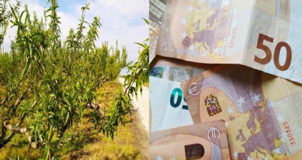 &Epsilon;&rho;&omega;&tau;ή&sigma;&epsilon;&iota;&sigmaf; &pi;&rho;&omicron;&sigmaf; &Upsilon;&Pi;&Alpha;&Alpha;&Tau; &kappa;&alpha;&iota; &Epsilon;&Lambda;&Gamma;&Alpha; &gamma;&iota;&alpha; &pi;&rho;&omicron;&kappa;&alpha;&tau;&alpha;&beta;&omicron;&lambda;έ&sigmaf;, &sigma;&upsilon;&mu;&psi;&eta;&phi;&iota;&sigma;&mu;ό, &chi;&rho;&omicron;&nu;&omicron;&delta;&iota;ά&gamma;&rho;&alpha;&mu;&mu;&alpha; &pi;&lambda;&eta;&rho;&omega;&mu;ώ&nu; &amp; &epsilon;&pi;&iota;&sigma;&tau;&rho;&omicron;&phi;ή &tau;&epsilon;&lambda;ώ&nu; &epsilon;&kappa;&tau;ί&mu;&eta;&sigma;&eta;&sigmaf;