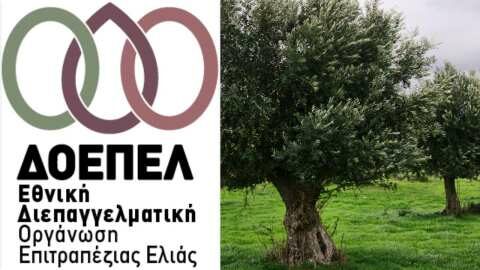 Ά&mu;&epsilon;&sigma;&eta; &alpha;&nu;&tau;ί&delta;&rho;&alpha;&sigma;&eta; &tau;&eta;&sigmaf; &Epsilon;&theta;&nu;&iota;&kappa;ή&sigmaf; &Delta;&Omicron;&Epsilon;&Pi;&Epsilon;&Lambda; &sigma;&chi;&epsilon;&tau;&iota;&kappa;ά &mu;&epsilon; &tau;&omicron; ά&rho;&theta;&rho;&omicron; &tau;&omicron;&upsilon; &Alpha;&Sigma; &ldquo;Έ&nu;&omega;&sigma;&eta; &Mu;&epsilon;&sigma;&sigma;&eta;&nu;ί&alpha;&sigmaf;&rdquo; &gamma;&iota;&alpha; &tau;&omicron; &Pi;&Omicron;&Pi; &ldquo;&Epsilon;&lambda;&iota;ά &Kappa;&alpha;&lambda;&alpha;&mu;ά&tau;&alpha;&sigmaf;&rdquo;