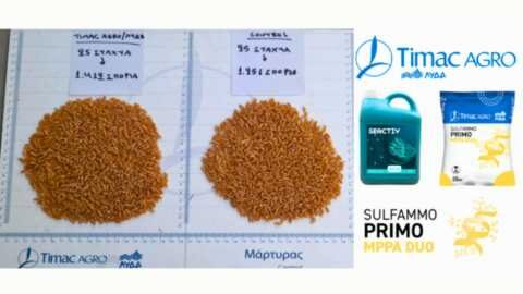 &Sigma;&iota;&tau;ά&rho;&iota;: &Tau;&alpha; &pi;&rho;&omicron;ϊό&nu;&tau;&alpha; &pi;&omicron;&upsilon; &pi;&rho;έ&pi;&epsilon;&iota; &nu;&alpha; &epsilon;&phi;&alpha;&rho;&mu;&omicron;&sigma;&tau;&omicron;ύ&nu; &sigma;&tau;&omicron; &epsilon;&pi;ό&mu;&epsilon;&nu;&omicron; &delta;&iota;ά&sigma;&tau;&eta;&mu;&alpha; &gamma;&iota;&alpha; &nu;&alpha; &epsilon;&pi;&iota;&tau;ύ&chi;&omicron;&upsilon;&mu;&epsilon; &upsilon;&psi;&eta;&lambda;ά &pi;&omicron;&sigma;&omicron;&sigma;&tau;ά &pi;&rho;&omega;&tau;&epsilon;ΐ&nu;&eta;&sigmaf;