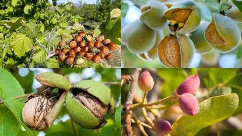 &laquo;&Gamma;&epsilon;&omega;&rho;&gamma;ί&alpha; &mu;&epsilon; &Epsilon;&upsilon;&phi;&upsilon;ΐ&alpha;&raquo; &kappa;&alpha;&iota; &sigma;&tau;&iota;&sigmaf; &kappa;&alpha;&lambda;&lambda;&iota;έ&rho;&gamma;&epsilon;&iota;&epsilon;&sigmaf; &alpha;&kappa;&rho;ό&delta;&rho;&upsilon;&omega;&nu;