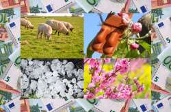 &Pi;ό&tau;&epsilon; &pi;&lambda;&eta;&rho;ώ&nu;&omicron;&nu;&tau;&alpha;&iota; &Kappa;&omicron;&mu;&phi;&omicron;ύ&zeta;&iota;&omicron;, &Beta;&iota;&omicron;&lambda;&omicron;&gamma;&iota;&kappa;ά , &Pi;&rho;&alpha;&sigma;ί&nu;&iota;&sigma;&mu;&alpha;, &Beta;&alpha;&sigma;&iota;&kappa;ή &epsilon;&nu;ί&sigma;&chi;&upsilon;&sigma;&eta; (&upsilon;&pi;ό&lambda;&omicron;&iota;&pi;&omicron; 30%) &kappa;&alpha;&iota; &Epsilon;&xi;&iota;&sigma;&omega;&tau;&iota;&kappa;ή