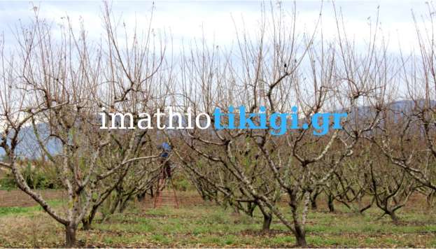 Έ&lambda;&lambda;&epsilon;&iota;&psi;&eta; &epsilon;&rho;&gamma;&alpha;&tau;&iota;&kappa;ώ&nu; &chi;&epsilon;&rho;&iota;ώ&nu; &sigma;&tau;&iota;&sigmaf; &alpha;&gamma;&rho;&omicron;&tau;&iota;&kappa;έ&sigmaf; &epsilon;&rho;&gamma;&alpha;&sigma;ί&epsilon;&sigmaf; - &Epsilon;&rho;ώ&tau;&eta;&sigma;&eta; &Epsilon;&upsilon;&rho;&omega;&beta;&omicron;&upsilon;&lambda;&epsilon;&upsilon;&tau;ή &Epsilon;&mu;&mu;&alpha;&nu;&omicron;&upsilon;ή&lambda; &Phi;&rho;ά&gamma;&kappa;&omicron;&upsilon;