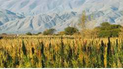 &Alpha;&upsilon;&tau;ή &epsilon;ί&nu;&alpha;&iota; &eta; &epsilon;&nu;&alpha;&lambda;&lambda;&alpha;&kappa;&tau;&iota;&kappa;ή &kappa;&alpha;&lambda;&lambda;&iota;έ&rho;&gamma;&epsilon;&iota;&alpha; &mu;&epsilon; &lambda;&alpha;&mu;&pi;&rho;ό &mu;έ&lambda;&lambda;&omicron;&nu; &sigma;&tau;&eta;&nu; &Epsilon;&lambda;&lambda;ά&delta;&alpha;