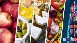 &Tau;&omicron; &pi;&lambda;&epsilon;ό&nu;&alpha;&sigma;&mu;&alpha; &gamma;&epsilon;&omega;&rho;&gamma;&iota;&kappa;ώ&nu; &pi;&rho;&omicron;ϊό&nu;&tau;&omega;&nu; &delta;&iota;&alpha;&tau;&rho;&omicron;&phi;ή&sigmaf; &tau;&eta;&sigmaf; &Epsilon;&Epsilon; &alpha;&upsilon;&xi;ή&theta;&eta;&kappa;&epsilon; &tau;&omicron; &pi;&rho;ώ&tau;&omicron; &epsilon;&xi;ά&mu;&eta;&nu;&omicron; &tau;&omicron;&upsilon; 2024