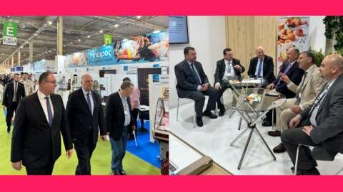 &Upsilon;&pi;&Alpha;&Alpha;&Tau; &sigma;&tau;&eta;&nu; Food Expo 2025: &laquo;&Tau;&alpha; &epsilon;&lambda;&lambda;&eta;&nu;&iota;&kappa;ά &pi;&rho;&omicron;ϊό&nu;&tau;&alpha; &delta;&iota;&alpha;&theta;έ&tau;&omicron;&upsilon;&nu; &sigma;&upsilon;&gamma;&kappa;&rho;&iota;&tau;&iota;&kappa;ά &pi;&lambda;&epsilon;&omicron;&nu;&epsilon;&kappa;&tau;ή&mu;&alpha;&tau;&alpha; &pi;&omicron;&upsilon; &mu;&pi;&omicron;&rho;&omicron;ύ&nu; &nu;&alpha; &epsilon;&nu;&iota;&sigma;&chi;ύ&sigma;&omicron;&upsilon;&nu; &tau;&eta;&nu; &epsilon;&xi;&alpha;&gamma;&omega;&gamma;&iota;&kappa;ή &delta;&upsilon;&nu;&alpha;&mu;&iota;&kappa;ή &tau;&eta;&sigmaf; &chi;ώ&rho;&alpha;&sigmaf;&raquo;