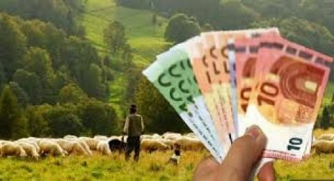 &Sigma;&tau;&alpha;ύ&rho;&omicron;&sigmaf; &Alpha;&rho;&alpha;&chi;&omega;&beta;ί&tau;&eta;&sigmaf;: &laquo;2.000.000 &epsilon;&upsilon;&rho;ώ &epsilon;&nu;&iota;&sigma;&chi;ύ&sigma;&epsilon;&iota;&sigmaf; de minimis &sigma;&tau;&omicron;&upsilon;&sigmaf; &alpha;&iota;&gamma;&omicron;&pi;&rho;&omicron;&beta;&alpha;&tau;&omicron;&tau;&rho;ό&phi;&omicron;&upsilon;&sigmaf; &tau;&omega;&nu; &Chi;&alpha;&nu;ί&omega;&nu;&raquo;