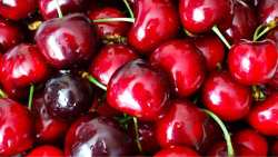 &Tau;&alpha; 5 &epsilon;&nu;&tau;&upsilon;&pi;&omega;&sigma;&iota;&alpha;&kappa;ά &omicron;&phi;έ&lambda;&eta; &pi;&omicron;&upsilon; &pi;&alpha;&rho;έ&chi;&omicron;&upsilon;&nu; &tau;&alpha; &kappa;&epsilon;&rho;ά&sigma;&iota;&alpha; &sigma;&tau;&eta;&nu; &upsilon;&gamma;&epsilon;ί&alpha;