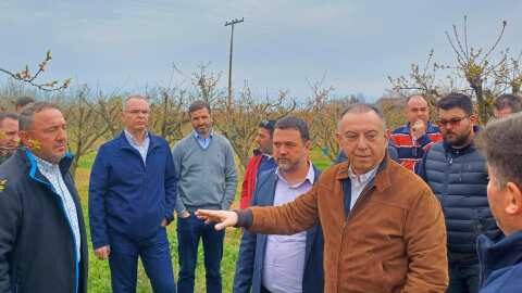 Ά&mu;&epsilon;&sigma;&epsilon;&sigmaf; &epsilon;&kappa;&tau;&iota;&mu;ή&sigma;&epsilon;&iota;&sigmaf; , &pi;&rho;&omicron;&kappa;&alpha;&tau;&alpha;&beta;&omicron;&lambda;ή &kappa;&alpha;&iota; &mu;&epsilon;ί&omega;&sigma;&eta; &tau;&omicron;&upsilon; &pi;&omicron;&sigma;&omicron;&sigma;&tau;&omicron;ύ &tau;&omicron;&upsilon; &Epsilon;&Lambda;&Gamma;&Alpha; &alpha;&pi;ό 30% &sigma;&epsilon; 15% &zeta;&eta;&tau;&omicron;ύ&nu; &alpha;&gamma;&rho;ό&tau;&epsilon;&sigmaf; &tau;&omega;&nu; &Delta;έ&nu;&delta;&rho;&omega;&nu; &sigma;&tau;&omicron;&nu; &Tau;ύ&rho;&nu;&alpha;&beta;&omicron; &Lambda;ά&rho;&iota;&sigma;&alpha;&sigmaf;