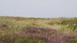 &Omicron;&Pi;&Epsilon;&Kappa;&Epsilon;&Pi;&Epsilon;: Ά&nu;&omicron;&iota;&xi;&epsilon; &tau;&omicron; &sigma;ύ&sigma;&tau;&eta;&mu;&alpha; &gamma;&iota;&alpha; &delta;&iota;&omicron;&rho;&theta;ώ&sigma;&epsilon;&iota;&sigmaf; &sigma;&tau;&eta;&nu; &Epsilon;&Alpha;&Epsilon; 2025 &lambda;ό&gamma;&omega; monitoring &ndash; &Epsilon;&iota;&delta;&omicron;&pi;&omicron;ί&eta;&sigma;&eta; &gamma;&iota;&alpha; &alpha;&gamma;&rho;&alpha;&nu;ά&pi;&alpha;&upsilon;&sigma;&eta; &kappa;&alpha;&iota; &kappa;&omicron;&pi;&tau;&omicron;&lambda;ί&beta;&alpha;&delta;&alpha;