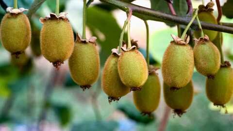 &laquo;&Mu;έ&tau;&rho;&alpha; &sigma;&tau;ή&rho;&iota;&xi;&eta;&sigmaf; &pi;&alpha;&rho;&alpha;&gamma;&omega;&gamma;ώ&nu; &alpha;&kappa;&tau;&iota;&nu;&iota;&delta;ί&omicron;&upsilon; &Eta;&mu;&alpha;&theta;ί&alpha;&sigmaf; - &Pi;&iota;&epsilon;&rho;ί&alpha;&sigmaf;&raquo; - &Epsilon;&rho;ώ&tau;&eta;&sigma;&eta; &Beta;&omicron;&upsilon;&lambda;&epsilon;&upsilon;&tau;ή &Eta;&mu;&alpha;&theta;ί&alpha;&sigmaf; &tau;&eta;&sigmaf; &Epsilon;&lambda;&lambda;&eta;&nu;&iota;&kappa;ή&sigmaf; &Lambda;ύ&sigma;&eta;&sigmaf;, &Beta;&alpha;&sigma;ί&lambda;&eta; &Kappa;&omicron;&tau;ί&delta;&eta;, &pi;&rho;&omicron;&sigmaf; &tau;&omicron;&nu; &Upsilon;&Pi;&Alpha;&Alpha;&Tau;