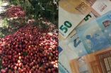 &Pi;&rho;&omicron;&epsilon;&tau;&omicron;&iota;&mu;&alpha;&sigma;ί&alpha; &alpha;&nu;&epsilon;ύ&rho;&epsilon;&sigma;&eta;&sigmaf; &tau;&rho;ό&pi;&omega;&nu; &kappa;&alpha;&tau;&alpha;&nu;&omicron;&mu;ή&sigmaf; Deminimis &sigma;&tau;&alpha; &rho;&omicron;&delta;ά&kappa;&iota;&nu;&alpha; &lambda;ό&gamma;&omega; &beta;&rho;&omicron;&chi;&omicron;&pi;&tau;ώ&sigma;&epsilon;&omega;&nu;