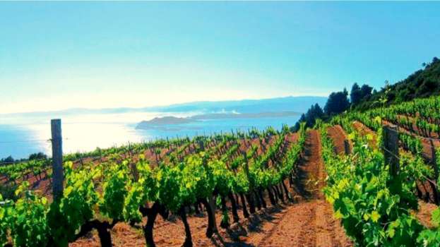 &Gamma;&epsilon;&omega;&rho;&gamma;&iota;&kappa;έ&sigmaf; &pi;&rho;&omicron;&epsilon;&iota;&delta;&omicron;&pi;&omicron;&iota;ή&sigma;&epsilon;&iota;&sigmaf; &gamma;&iota;&alpha; &tau;&omicron; &Alpha;&mu;&pi;έ&lambda;&iota;