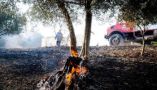 &Epsilon;&pi;&iota;&sigma;&tau;&rho;&alpha;&tau;&epsilon;ύ&omicron;&nu;&tau;&alpha;&iota; &kappa;&alpha;&tau;&sigma;ί&kappa;&epsilon;&sigmaf; &gamma;&iota;&alpha; &tau;&eta;&nu; &pi;&rho;ό&lambda;&eta;&psi;&eta; &tau;&omega;&nu; &delta;&alpha;&sigma;&iota;&kappa;ώ&nu; &pi;&upsilon;&rho;&kappa;&alpha;&gamma;&iota;ώ&nu; &sigma;&tau;&eta;&nu; &Pi;&omicron;&rho;&tau;&omicron;&gamma;&alpha;&lambda;ί&alpha;