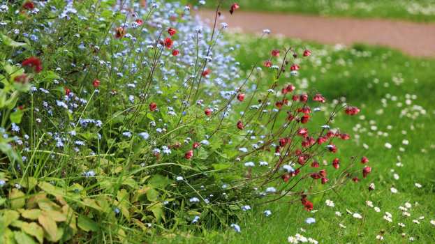 &Omicron;&iota;&kappa;&omicron;&lambda;&omicron;&gamma;&iota;&kappa;ή &alpha;&nu;&tau;&iota;&mu;&epsilon;&tau;ώ&pi;&iota;&sigma;&eta; &zeta;&iota;&zeta;&alpha;&nu;ί&omega;&nu; - &Tau;&iota; &delta;&epsilon;ί&chi;&nu;&epsilon;&iota; &eta; &nu;έ&alpha; έ&rho;&epsilon;&upsilon;&nu;&alpha;