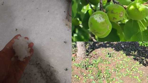 &Beta;ί&nu;&tau;&epsilon;&omicron; &alpha;&pi;ό &tau;&eta; &sigma;&phi;&omicron;&delta;&rho;ή &chi;&alpha;&lambda;&alpha;&zeta;ό&pi;&tau;&omega;&sigma;&eta; &pi;&omicron;&upsilon; "&iota;&sigma;&omicron;&pi;έ&delta;&omega;&sigma;&epsilon;" &tau;&iota;&sigmaf; &kappa;&alpha;&lambda;&lambda;&iota;έ&rho;&gamma;&epsilon;&iota;&epsilon;&sigmaf; &alpha;&rho;&kappa;&epsilon;&tau;ώ&nu; &pi;&epsilon;&rho;&iota;&omicron;&chi;ώ&nu; &sigma;&tau;&eta;&nu; &Chi;&alpha;&lambda;&kappa;&iota;&delta;&iota;&kappa;ή