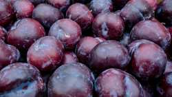 &Gamma;&iota;&alpha;&tau;ί &pi;&rho;έ&pi;&epsilon;&iota; &nu;&alpha; &tau;&rho;ώ&mu;&epsilon; &Delta;&alpha;&mu;ά&sigma;&kappa;&eta;&nu;&alpha; - &Pi;&omicron;&iota;&alpha; &tau;&alpha; &omicron;&phi;έ&lambda;&eta; &sigma;&tau;&eta;&nu; &upsilon;&gamma;&epsilon;ί&alpha;