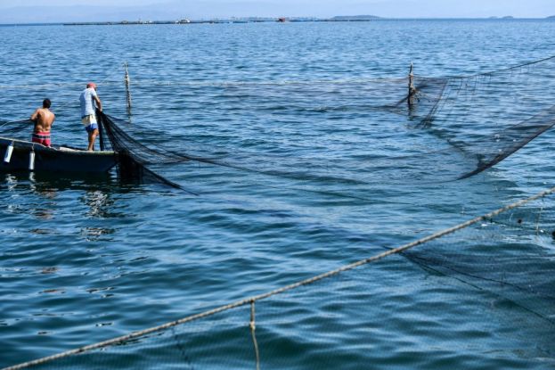 &Alpha;&pi;ί&sigma;&tau;&epsilon;&upsilon;&tau;&omicron;: &Psi;&alpha;&rho;ά&sigmaf; &beta;&rho;ή&kappa;&epsilon; &nu;&epsilon;&kappa;&rho;ό &psi;&alpha;&rho;&omicron;&nu;&tau;&omicron;&upsilon;&phi;&epsilon;&kappa;ά &sigma;&tau;&omicron; &Beta;ό&lambda;&omicron; &kappa;&alpha;&iota; &tau;&omicron;&nu; &xi;&alpha;&nu;&alpha;&pi;έ&tau;&alpha;&xi;&epsilon; &sigma;&tau;&eta; &theta;ά&lambda;&alpha;&sigma;&sigma;&alpha;