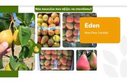 &Nu;έ&alpha; &pi;&omicron;&iota;&kappa;&iota;&lambda;ί&alpha; &pi;&omicron;&upsilon; &alpha;&xi;ί&zeta;&epsilon;&iota; &nu;&alpha; &epsilon;&pi;&epsilon;&nu;&delta;ύ&sigma;&omega;?