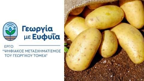 &Tau;&omicron; Έ&rho;&gamma;&omicron; &laquo;&Gamma;&epsilon;&omega;&rho;&gamma;ί&alpha; &mu;&epsilon; &Epsilon;&upsilon;&phi;&upsilon;ΐ&alpha;&raquo; - &Psi;&eta;&phi;&iota;&alpha;&kappa;ό&sigmaf; &Mu;&epsilon;&tau;&alpha;&sigma;&chi;&eta;&mu;&alpha;&tau;&iota;&sigma;&mu;ό&sigmaf; &tau;&omicron;&upsilon; &Gamma;&epsilon;&omega;&rho;&gamma;&iota;&kappa;&omicron;ύ &Tau;&omicron;&mu;έ&alpha;, &delta;ί&pi;&lambda;&alpha; &sigma;&tau;&eta;&nu; &kappa;&alpha;&lambda;&lambda;&iota;έ&rho;&gamma;&epsilon;&iota;&alpha; &pi;&alpha;&tau;ά&tau;&alpha;&sigmaf;