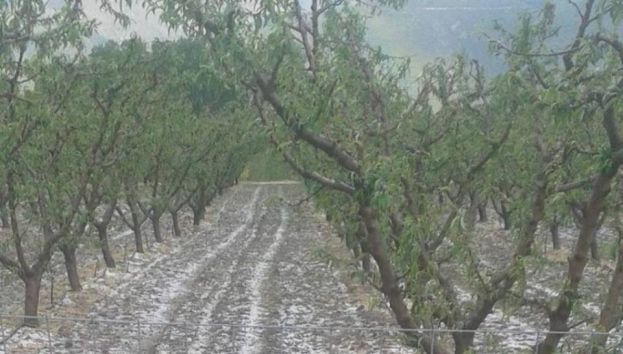 &Omicron; &Gamma;. &Sigma;&eta;&phi;ά&kappa;&eta;&sigmaf; &epsilon;&nu;&eta;&mu;έ&rho;&omega;&sigma;&epsilon; &Pi;&rho;ό&epsilon;&delta;&rho;&omicron; &kappa;&alpha;&iota; &Alpha;&nu;&tau;&iota;&pi;&rho;ό&epsilon;&delta;&rho;&omicron; &tau;&omicron;&upsilon; &Epsilon;&Lambda;&Gamma;&Alpha; &gamma;&iota;&alpha; &tau;&iota;&sigmaf; &sigma;&omicron;&beta;&alpha;&rho;έ&sigmaf; &zeta;&eta;&mu;&iota;έ&sigmaf; &sigma;&epsilon; &kappa;&alpha;&lambda;&lambda;&iota;έ&rho;&gamma;&epsilon;&iota;&epsilon;&sigmaf; &tau;&eta;&sigmaf; &Pi;έ&lambda;&lambda;&alpha;&sigmaf; &alpha;&pi;ό &tau;&omicron; &chi;&alpha;&lambda;ά&zeta;&iota; &kappa;&alpha;&iota; &tau;&eta;&nu; &kappa;&alpha;&tau;&alpha;&iota;&gamma;ί&delta;&alpha; - &Epsilon;&nu;&eta;&mu;έ&rho;&omega;&sigma;&eta; &gamma;&iota;&alpha; &tau;&iota;&sigmaf; &beta;&rho;&omicron;&chi;&omicron;&pi;&tau;ώ&sigma;&epsilon;&iota;&sigmaf; &tau;&omicron;&upsilon; &Iota;&omicron;&upsilon;&lambda;ί&omicron;&upsilon;