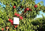 &Kappa;&omicron;&mu;&phi;&omicron;ύ&zeta;&iota;&omicron; : Έ&nu;&alpha;&rho;&xi;&eta; &upsilon;&pi;&omicron;&beta;&omicron;&lambda;ή&sigmaf; &alpha;&iota;&tau;&eta;&mu;ά&tau;&omega;&nu; &tau;&rho;&omicron;&pi;&omicron;&pi;&omicron;&iota;ή&sigma;&epsilon;&omega;&nu;- &mu;&epsilon;&tau;&alpha;&beta;&iota;&beta;ά&sigma;&epsilon;&omega;&nu; &gamma;&iota;&alpha; έ&tau;&omicron;&sigmaf; 2018 &amp; &alpha;&iota;&tau;&eta;&mu;ά&tau;&omega;&nu; &alpha;&pi;έ&nu;&tau;&alpha;&xi;&eta;&sigmaf;