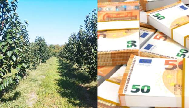 &Epsilon;&upsilon;&rho;&omega;&pi;&alpha;ϊ&kappa;ή Έ&nu;&omega;&sigma;&eta;: &Epsilon;&iota;&delta;&iota;&kappa;ή &chi;&rho;&eta;&mu;&alpha;&tau;&omicron;&delta;ό&tau;&eta;&sigma;&eta; &gamma;&iota;&alpha; &tau;&eta;&nu; &epsilon;&nu;ί&sigma;&chi;&upsilon;&sigma;&eta; &tau;&omega;&nu; &alpha;&gamma;&rho;&omicron;&tau;&iota;&kappa;ώ&nu; &pi;&epsilon;&rho;&iota;&omicron;&chi;ώ&nu;