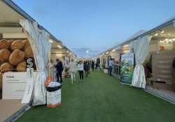 &Epsilon;&gamma;&kappa;&alpha;ί&nu;&iota;&alpha; 5&eta;&sigmaf; &Alpha;&gamma;&rho;&omicron;&tau;&iota;&kappa;ή&sigmaf; Έ&kappa;&theta;&epsilon;&sigma;&eta;&sigmaf; &Iota;&epsilon;&rho;ά&pi;&epsilon;&tau;&rho;&alpha;&sigmaf; "AgroExpo"