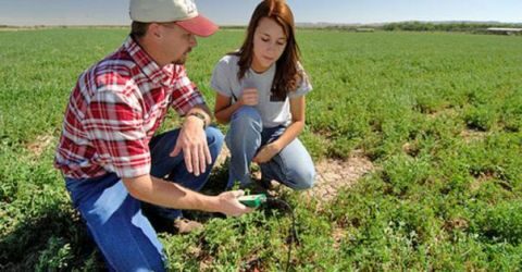 &Alpha;&kappa;ό&mu;&eta; 488 &alpha;&gamma;&rho;ό&tau;&epsilon;&sigmaf; &epsilon;&nu;&tau;ά&sigma;&sigma;&omicron;&nu;&tau;&alpha;&iota; &sigma;&tau;&omicron; &pi;&rho;ό&gamma;&rho;&alpha;&mu;&mu;&alpha; "&Nu;έ&omicron;&iota; &Gamma;&epsilon;&omega;&rho;&gamma;&omicron;ί" &sigma;&tau;&eta; &Sigma;&tau;&epsilon;&rho;&epsilon;ά &Epsilon;&lambda;&lambda;ά&delta;&alpha;