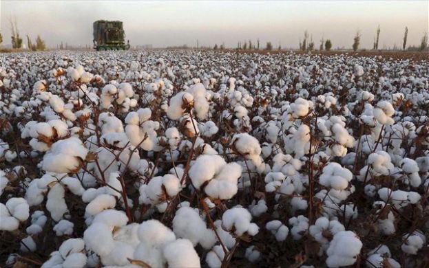 &Tau;έ&lambda;&omicron;&sigmaf; &omicron;&iota; &alpha;&nu;&omicron;&iota;&chi;&tau;έ&sigmaf; &tau;&iota;&mu;έ&sigmaf; &gamma;&iota;&alpha; &tau;&omicron; &beta;&alpha;&mu;&beta;ά&kappa;&iota;