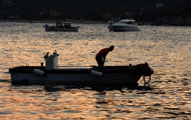 &Pi;&rho;ό&sigma;&kappa;&lambda;&eta;&sigma;&eta; &tau;&omicron;&upsilon; &Upsilon;&Pi;&Alpha;&Alpha;&Tau; &sigma;&epsilon; &phi;&omicron;&rho;&epsilon;ί&sigmaf;, &gamma;&iota;&alpha; &tau;&eta;&nu; &delta;&iota;ά&sigma;&omega;&sigma;&eta; &pi;&alpha;&rho;&alpha;&delta;&omicron;&sigma;&iota;&alpha;&kappa;ώ&nu; &xi;ύ&lambda;&iota;&nu;&omega;&nu; &alpha;&lambda;&iota;&epsilon;&upsilon;&tau;&iota;&kappa;ώ&nu; &sigma;&kappa;&alpha;&phi;ώ&nu;