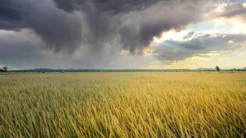 Έ&kappa;&tau;&alpha;&kappa;&tau;&omicron; &delta;&epsilon;&lambda;&tau;ί&omicron; &epsilon;&pi;&iota;&delta;&epsilon;ί&nu;&omega;&sigma;&eta;&sigmaf; &kappa;&alpha;&iota;&rho;&omicron;ύ: Έ&rho;&chi;&omicron;&nu;&tau;&alpha;&iota; &iota;&sigma;&chi;&upsilon;&rho;έ&sigmaf; &kappa;&alpha;&tau;&alpha;&iota;&gamma;ί&delta;&epsilon;&sigmaf; &kappa;&alpha;&iota; &pi;&iota;&theta;&alpha;&nu;ό&nu; &chi;&alpha;&lambda;&alpha;&zeta;&omicron;&pi;&tau;ώ&sigma;&epsilon;&iota;&sigmaf;