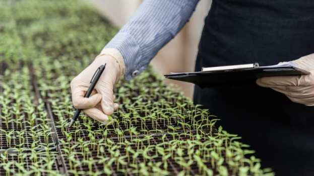 &Nu;έ&epsilon;&sigmaf; &gamma;&omicron;&nu;&iota;&delta;&iota;&omega;&mu;&alpha;&tau;&iota;&kappa;έ&sigmaf; &tau;&epsilon;&chi;&nu;&iota;&kappa;έ&sigmaf; &gamma;&iota;&alpha; &tau;&eta; &mu;&epsilon;ί&omega;&sigma;&eta; &tau;&eta;&sigmaf; &chi;&rho;ή&sigma;&eta;&sigmaf; &phi;&upsilon;&tau;&omicron;&phi;&alpha;&rho;&mu;ά&kappa;&omega;&nu;