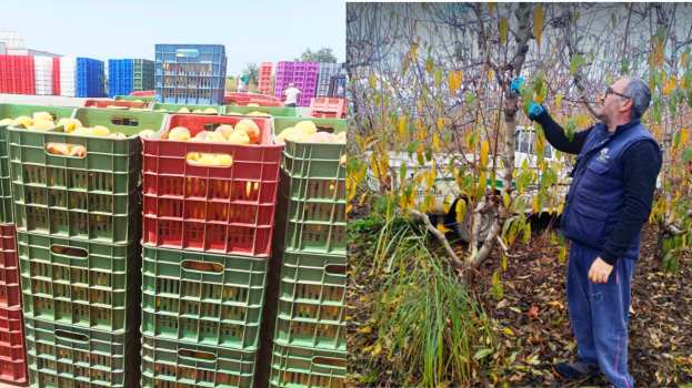 &Mu;&epsilon; &tau;&eta;&nu; &kappa;&upsilon;&beta;έ&rho;&nu;&eta;&sigma;&eta; &nu;&alpha; &tau;&omicron;&upsilon;&sigmaf; &gamma;&upsilon;&rho;&nu;ά&epsilon;&iota; &tau;&eta;&nu; &pi;&lambda;ά&tau;&eta; &omicron;&iota; &rho;&omicron;&delta;&alpha;&kappa;&iota;&nu;&omicron;&pi;&alpha;&rho;&alpha;&gamma;&omega;&gamma;&omicron;ί &pi;&alpha;&lambda;&epsilon;ύ&omicron;&upsilon;&nu; &Mu;&Omicron;&Nu;&Omicron;&Iota; &tau;&omicron;&upsilon;&sigmaf; &gamma;&iota;&alpha; &tau;&eta;&nu; &epsilon;&pi;&iota;&beta;ί&omega;&sigma;&eta;