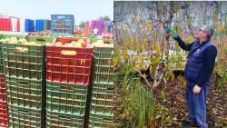 &Mu;&epsilon; &tau;&eta;&nu; &kappa;&upsilon;&beta;έ&rho;&nu;&eta;&sigma;&eta; &nu;&alpha; &tau;&omicron;&upsilon;&sigmaf; &gamma;&upsilon;&rho;&nu;ά&epsilon;&iota; &tau;&eta;&nu; &pi;&lambda;ά&tau;&eta; &omicron;&iota; &rho;&omicron;&delta;&alpha;&kappa;&iota;&nu;&omicron;&pi;&alpha;&rho;&alpha;&gamma;&omega;&gamma;&omicron;ί &pi;&alpha;&lambda;&epsilon;ύ&omicron;&upsilon;&nu; &Mu;&Omicron;&Nu;&Omicron;&Iota; &tau;&omicron;&upsilon;&sigmaf; &gamma;&iota;&alpha; &tau;&eta;&nu; &epsilon;&pi;&iota;&beta;ί&omega;&sigma;&eta;