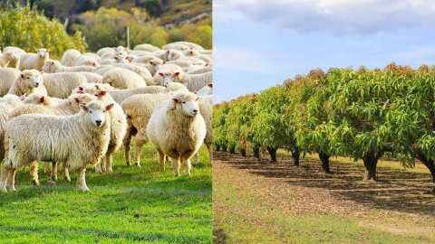 &Kappa;&alpha;&tau;&alpha;&iota;&gamma;&iota;&sigma;&tau;&iota;&kappa;&omicron;ί έ&lambda;&epsilon;&gamma;&chi;&omicron;&iota; &sigma;&epsilon; ό&lambda;&alpha; &tau;&alpha; &epsilon;&pi;ί&pi;&epsilon;&delta;&alpha; &alpha;&pi;ό &tau;&omicron; &Upsilon;&Pi;&Alpha;&Alpha;&Tau; &gamma;&iota;&alpha; &epsilon;&lambda;&lambda;&eta;&nu;&omicron;&pi;&omicron;&iota;ή&sigma;&epsilon;&iota;&sigmaf;, &pi;&alpha;&rho;ά&nu;&omicron;&mu;&epsilon;&sigmaf; &epsilon;&nu;&iota;&sigma;&chi;ύ&sigma;&epsilon;&iota;&sigmaf;