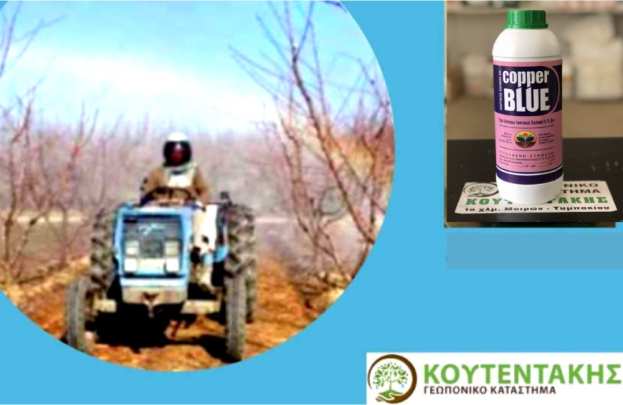 &Iota;&omicron;&nu;&tau;&iota;&kappa;ό&sigmaf; &chi;&alpha;&lambda;&kappa;ό&sigmaf; Copper Blue - &Pi;ό&tau;&epsilon; &kappa;&alpha;&iota; &sigma;&epsilon; &pi;&omicron;&iota;&epsilon;&sigmaf; &kappa;&alpha;&lambda;&lambda;&iota;έ&rho;&gamma;&epsilon;&iota;&epsilon;&sigmaf; &epsilon;&phi;&alpha;&rho;&mu;ό&zeta;&epsilon;&tau;&alpha;&iota;