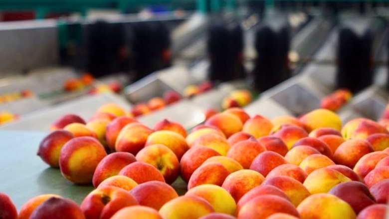 &Sigma;&tau;&eta; &phi;&upsilon;&lambda;&alpha;&kappa;ή &omicron; &mu;&epsilon;&sigma;ά&zeta;&omega;&nu; &gamma;&iota;&alpha; &tau;&omicron; &laquo;&kappa;&alpha;&nu;ό&nu;&iota;&raquo; &sigma;&tau;&omicron;&nu; &sigma;&upsilon;&nu;&epsilon;&tau;&alpha;&iota;&rho;&iota;&sigma;&mu;ό &tau;&eta;&sigmaf; &Mu;έ&sigma;&eta;&sigmaf; &Eta;&mu;&alpha;&theta;ί&alpha;&sigmaf; -  &Alpha;&theta;ώ&omicron;&iota; ά&lambda;&lambda;&omicron;&iota; 8 &kappa;&alpha;&tau;&eta;&gamma;&omicron;&rho;&omicron;ύ&mu;&epsilon;&nu;&omicron;&iota;