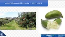 &Omicron;&lambda;&omicron;&kappa;&lambda;&eta;&rho;ώ&theta;&eta;&kappa;&epsilon; &eta; &Mu;&epsilon;&lambda;έ&tau;&eta; &gamma;&iota;&alpha; &tau;&eta;&nu; &Alpha;&nu;&alpha;&delta;&iota;ά&rho;&theta;&rho;&omega;&sigma;&eta; &Kappa;&alpha;&lambda;&lambda;&iota;&epsilon;&rho;&gamma;&epsilon;&iota;ώ&nu; - &Pi;&omicron;&iota;&alpha; &eta; &eta;&mu;&epsilon;&rho;&omicron;&mu;&eta;&nu;ί&alpha; έ&nu;&alpha;&rho;&xi;&eta;&sigmaf; &upsilon;&pi;&omicron;&beta;&omicron;&lambda;ή&sigmaf; &alpha;&iota;&tau;ή&sigma;&epsilon;&omega;&nu; &epsilon;&nu;ί&sigma;&chi;&upsilon;&sigma;&eta;&sigmaf;