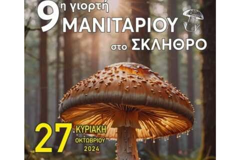 &Gamma;&iota;&omicron;&rho;&tau;ή &Mu;&alpha;&nu;&iota;&tau;&alpha;&rho;&iota;&omicron;ύ &sigma;&tau;&omicron; &Sigma;&kappa;&lambda;ή&theta;&rho;&omicron; &tau;&omicron;&upsilon; &Delta;ή&mu;&omicron;&upsilon; &Alpha;&gamma;&iota;ά&sigmaf;