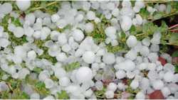 &laquo;&Sigma;&omicron;&beta;&alpha;&rho;έ&sigmaf; &kappa;&alpha;&tau;&alpha;&sigma;&tau;&rho;&omicron;&phi;έ&sigmaf; &sigma;&epsilon; &sigma;&omicron;&delta;&epsilon;&iota;ά &kappa;&alpha;&iota; &phi;&upsilon;&tau;&iota;&kappa;ό &kappa;&epsilon;&phi;ά&lambda;&alpha;&iota;&omicron; &sigma;&tau;&omicron;&nu; &Nu;.  &Eta;&mu;&alpha;&theta;ί&alpha;&sigmaf;&raquo; - &Epsilon;&rho;ώ&tau;&eta;&sigma;&eta; &Beta;&epsilon;&lambda;ό&pi;&omicron;&upsilon;&lambda;&omicron;&upsilon; &kappa;&alpha;&iota; &Kappa;&omicron;&tau;ί&delta;&eta; &pi;&rho;&omicron;&sigmaf; &Upsilon;&Pi;&Alpha;&Alpha;&Tau; &kappa;&alpha;&iota; &Omicron;&iota;&kappa;&omicron;&nu;&omicron;&mu;&iota;&kappa;ώ&nu;