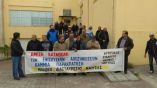 &Alpha;&Sigma; &Nu;ά&omicron;&upsilon;&sigma;&alpha;&sigmaf; &laquo;&Mu;&alpha;&rho;ί&nu;&omicron;&sigmaf; &Alpha;&nu;&tau;ύ&pi;&alpha;&sigmaf;&raquo; : &Sigma;ύ&sigma;&kappa;&epsilon;&psi;&eta; &rho;&omicron;&delta;&alpha;&kappa;&iota;&nu;&omicron;&pi;&alpha;&rho;&alpha;&gamma;&omega;&gamma;ώ&nu; &gamma;&iota;&alpha; &epsilon;&mu;&pi;ά&rho;&gamma;&kappa;&omicron; &kappa;&alpha;&iota; &beta;&rho;&omicron;&chi;&omicron;&pi;&tau;ώ&sigma;&epsilon;&iota;&sigmaf;