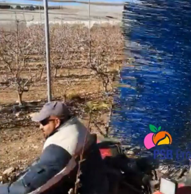 &Xi;&epsilon;&kappa;ί&nu;&eta;&sigma;&epsilon; &tau;&omicron; &alpha;&rho;&alpha;ί&omega;&mu;&alpha; (&alpha;&nu;&theta;&omicron;&phi;&omicron;&rho;ί&alpha;) &nu;&epsilon;&kappa;&tau;&alpha;&rho;&iota;&nu;&iota;ώ&nu; &kappa;&alpha;&iota; &rho;&omicron;&delta;&alpha;&kappa;&iota;&nu;&iota;ώ&nu; &sigma;&tau;&eta;&nu; &Iota;&sigma;&pi;&alpha;&nu;ί&alpha; (&Beta;ί&nu;&tau;&epsilon;&omicron;)