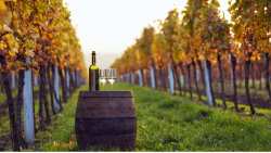 &Pi;.&Epsilon;. &Eta;&mu;&alpha;&theta;ί&alpha;&sigmaf; : &Upsilon;&pi;&omicron;&beta;&omicron;&lambda;ή &alpha;&iota;&tau;ή&sigma;&epsilon;&omega;&nu; &gamma;&iota;&alpha; &nu;έ&epsilon;&sigmaf; &alpha;&mu;&pi;&epsilon;&lambda;&omicron;&phi;&upsilon;&tau;&epsilon;ύ&sigma;&epsilon;&iota;&sigmaf; &gamma;&iota;&alpha; &tau;&omicron; έ&tau;&omicron;&sigmaf; 2024, &mu;έ&sigma;&omega; &tau;&omega;&nu; &psi;&eta;&phi;&iota;&alpha;&kappa;ώ&nu; &epsilon;&phi;&alpha;&rho;&mu;&omicron;&gamma;ώ&nu; &tau;&omicron;&upsilon; &Upsilon;&Pi;&Alpha;&Alpha;&Tau;