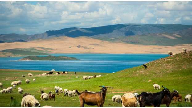 &Epsilon;&nu;&eta;&mu;έ&rho;&omega;&sigma;&eta; &kappa;&tau;&eta;&nu;&omicron;&tau;&rho;ό&phi;&omega;&nu;: &Epsilon;&mu;&phi;ά&nu;&iota;&sigma;&eta; &epsilon;&sigma;&tau;&iota;ώ&nu; &epsilon;&upsilon;&lambda;&omicron;&gamma;&iota;ά&sigmaf; &pi;&rho;&omicron;&beta;ά&tau;&omega;&nu; &kappa;&alpha;&iota; &alpha;&iota;&gamma;ώ&nu; &sigma;&tau;&iota;&sigmaf; &Pi;&Epsilon; &Mu;&alpha;&gamma;&nu;&eta;&sigma;ί&alpha;&sigmaf;, &Lambda;ά&rho;&iota;&sigma;&alpha;&sigmaf; &kappa;&alpha;&iota; &Kappa;&alpha;&rho;&delta;ί&tau;&sigma;&alpha;&sigmaf; | &Alpha;&gamma;&rho;&omicron;&tau;&iota;&kappa;ά &nu;έ&alpha; imathiotikigi.gr