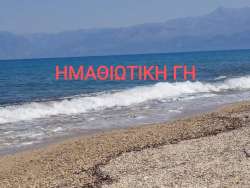 &Kappa;&alpha;&sigma;&sigma;ά&nu;&delta;&rho;&alpha; &Chi;&alpha;&lambda;&kappa;&iota;&delta;&iota;&kappa;ή&sigmaf;:&Alpha;&gamma;&omicron;&rho;ά&kappa;&iota; H&lambda;&iota;&kappa;ί&alpha;&sigmaf; 2 E&tau;ώ&nu; E&nu;&tau;&omicron;&pi;ί&sigma;&tau;&eta;&kappa;&epsilon; &Lambda;&iota;&pi;ό&theta;&upsilon;&mu;&omicron; &Sigma;&tau;&eta; &Theta;ά&lambda;&alpha;&sigma;&sigma;&alpha;