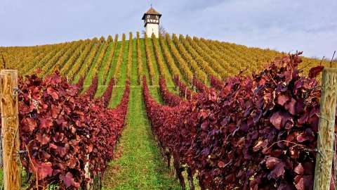 &Gamma;&epsilon;&omega;&rho;&gamma;&iota;&kappa;έ&sigmaf; &pi;&rho;&omicron;&epsilon;&iota;&delta;&omicron;&pi;&omicron;&iota;ή&sigma;&epsilon;&iota;&sigmaf; &gamma;&iota;&alpha; &tau;&omicron; &Alpha;&mu;&pi;έ&lambda;&iota;