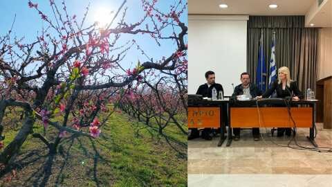 &Pi;&alpha;&gamma;&epsilon;&tau;ό&sigmaf;: &Pi;&omicron;&iota;&alpha; &eta; &pi;&alpha;&rho;έ&mu;&beta;&alpha;&sigma;&eta; &tau;&eta;&sigmaf; &Theta;&epsilon;&omicron;&delta;ώ&rho;&alpha;&sigmaf; &Tau;&zeta;ά&kappa;&rho;&eta; &sigma;&tau;&eta; &sigma;ύ&sigma;&kappa;&epsilon;&psi;&eta; &sigma;&tau;&eta; &Beta;έ&rho;&omicron;&iota;&alpha;