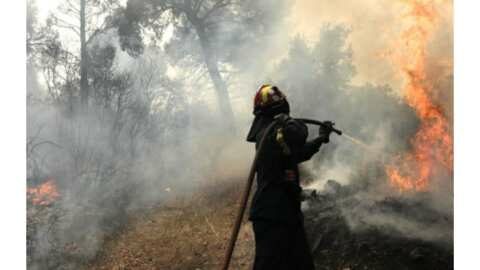 &Pi;&iota;&epsilon;&rho;ί&alpha;: &Phi;&omega;&tau;&iota;ά &sigma;&epsilon; &delta;&alpha;&sigma;&iota;&kappa;ή έ&kappa;&tau;&alpha;&sigma;&eta; &sigma;&tau;&eta;&nu; &Kappa;&omicron;&pi;&alpha;&nu;&omicron;ύ&lambda;&alpha; &Omicron;&lambda;ύ&mu;&pi;&omicron;&upsilon;