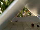 &Nu;έ&alpha; &pi;&alpha;&rho;ά&tau;&alpha;&sigma;&eta; &gamma;&iota;&alpha; &tau;&eta;&nu; &upsilon;&pi;&omicron;&beta;&omicron;&lambda;ή &alpha;&iota;&tau;ή&sigma;&epsilon;&omega;&nu; έ&nu;&tau;&alpha;&xi;&eta;&sigmaf; &sigma;&tau;&omicron; &pi;&rho;ό&gamma;&rho;&alpha;&mu;&mu;&alpha; "&Kappa;&omicron;&mu;&phi;&omicron;ύ&zeta;&iota;&omicron;" (&Beta;ί&nu;&tau;&epsilon;&omicron; &epsilon;&nu;&eta;&mu;έ&rho;&omega;&sigma;&eta;&sigmaf;)
